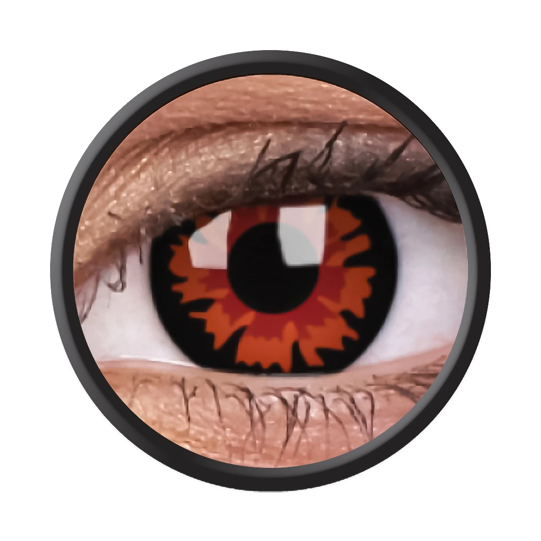 Volturi (3-Monatslinse) (1x2)